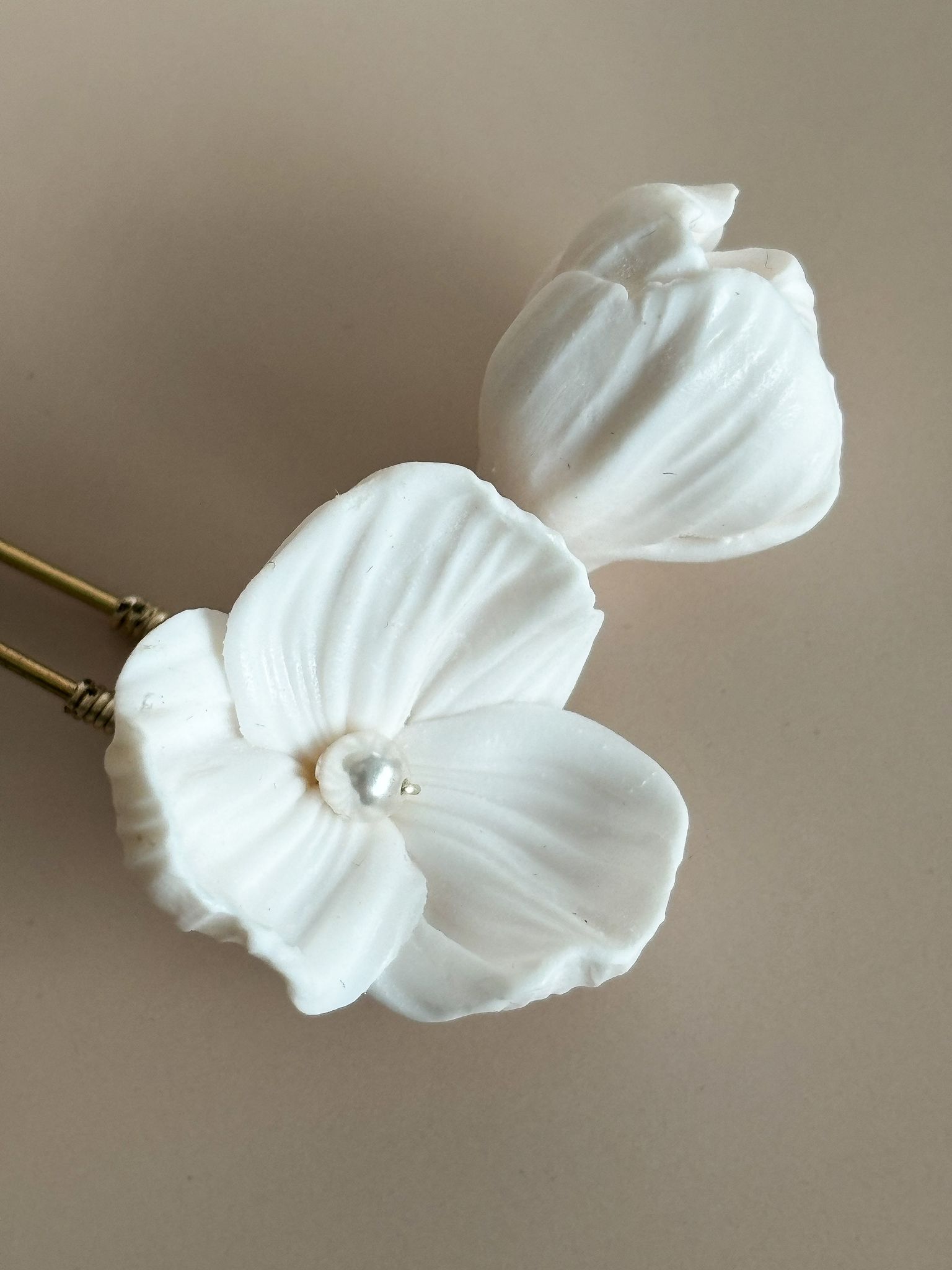 PIC A CHIGNON BLANDINE – Image 2